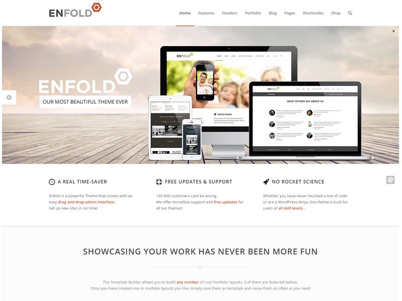 enfold wp theme