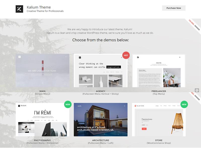 kalium wp portfolio theme