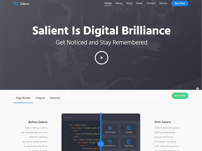 salient wp theme