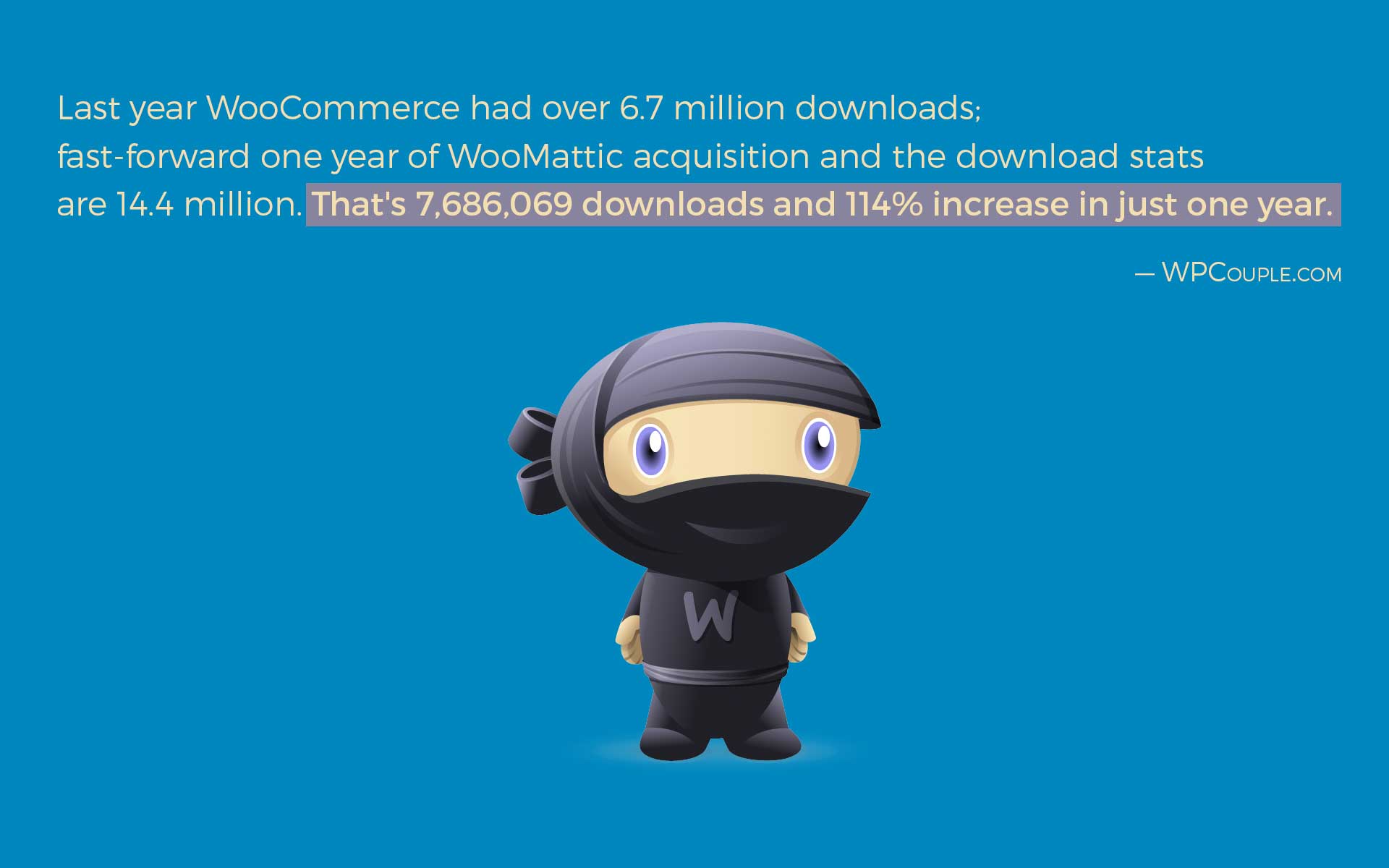 WooMattic-One-Year-Downloads