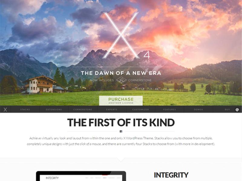 X theme WordPress