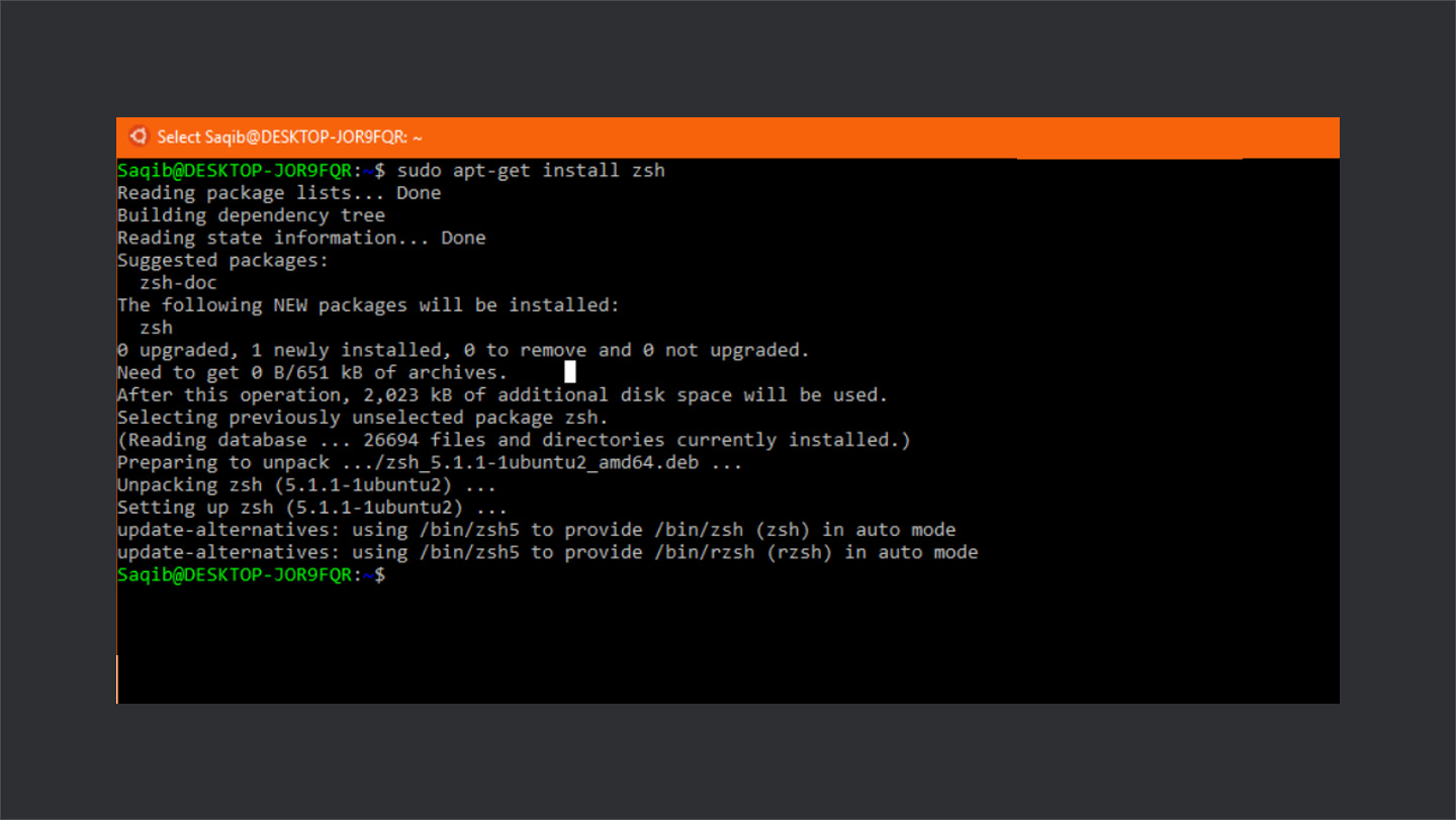 Installation of zsh on windows