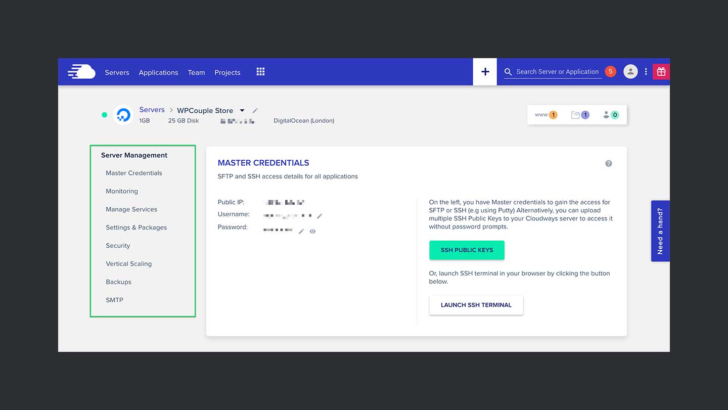 Cloudways Review Server Management