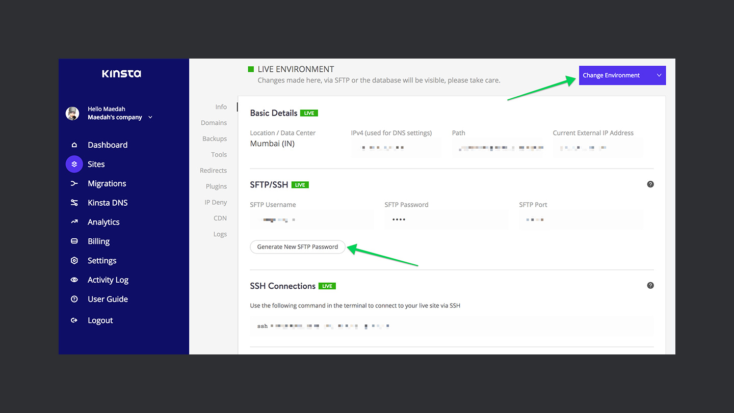 Kinsta Review Site Basic Details