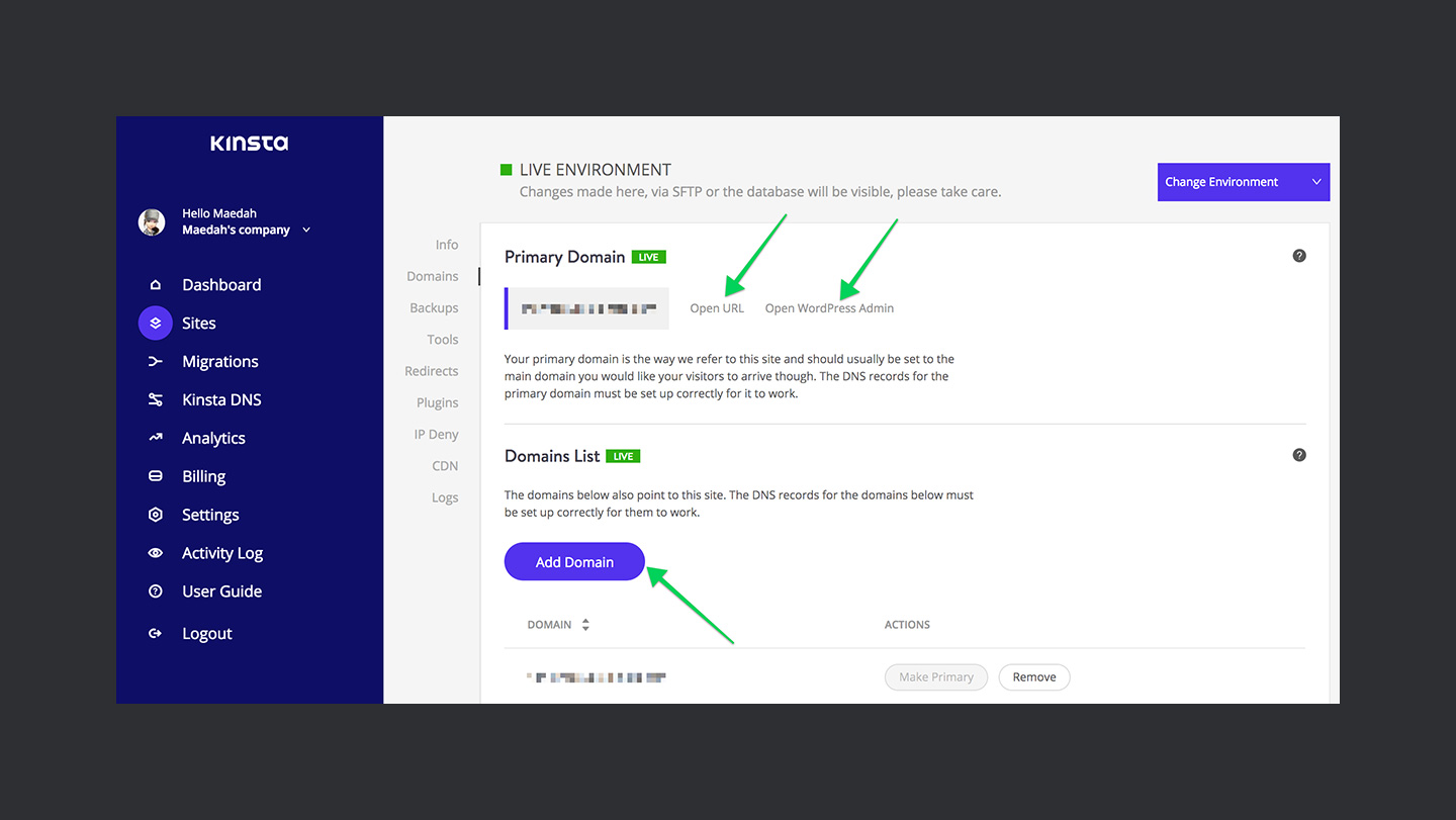 Kinsta Review Site Domains