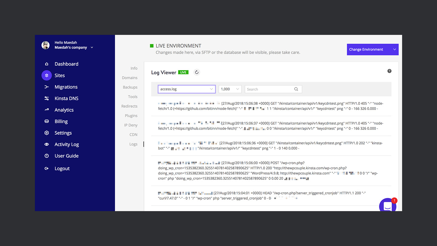 Kinsta Review Site Logs