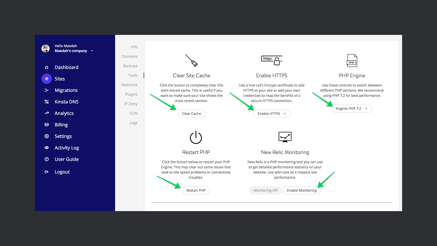 Kinsta Review Site Tools