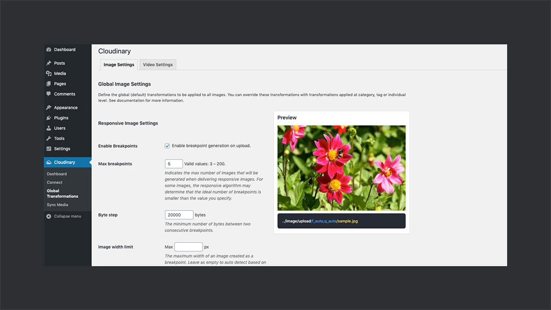 Cloudinary Image Breakpoints