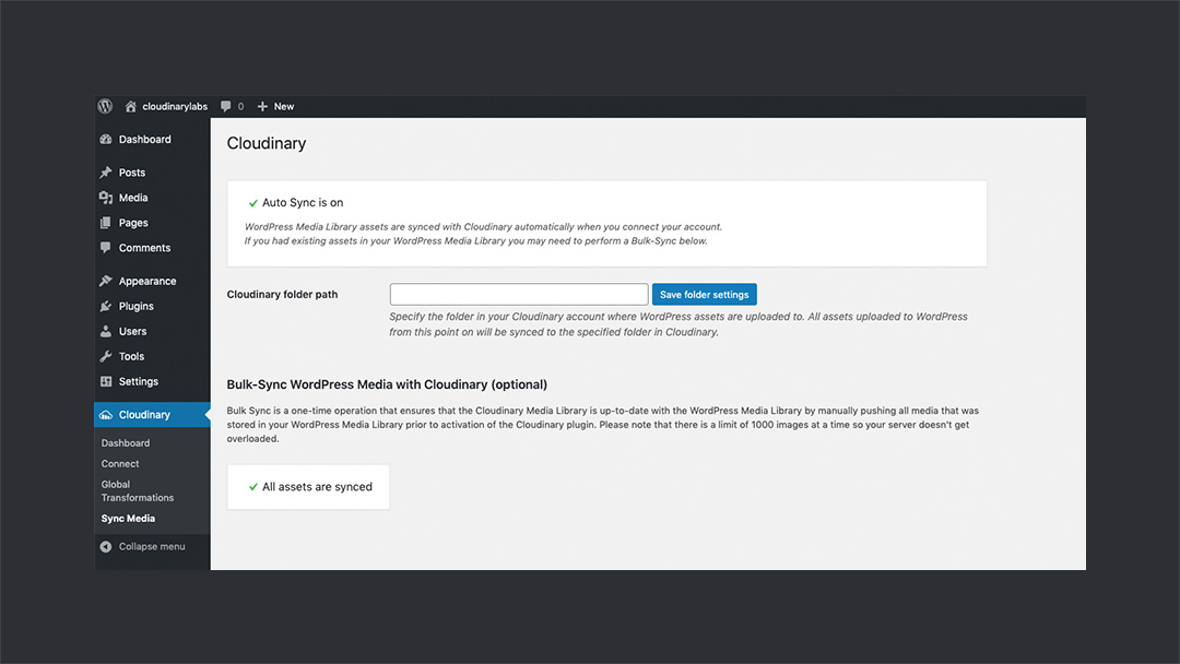 Cloudinary Sync Media Option